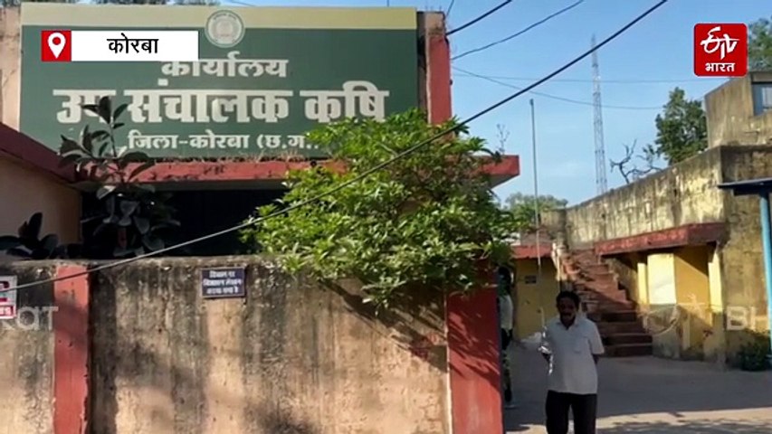 15 नवंबर से छत्तीसगढ़ में खरीदी, कोरबा कलेक्टर ने कहा - 30 अक्टूबर तक नए किसानों का पंजीयन है अनिवार्य