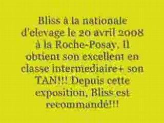 Bliss du val des petits génies