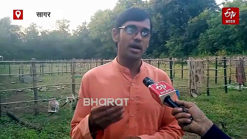 सिंचाई के संकट में अलसी बन सकती किसानों का सहारा, पानी नहीं होने पर भी होगी अच्छी पैदावार