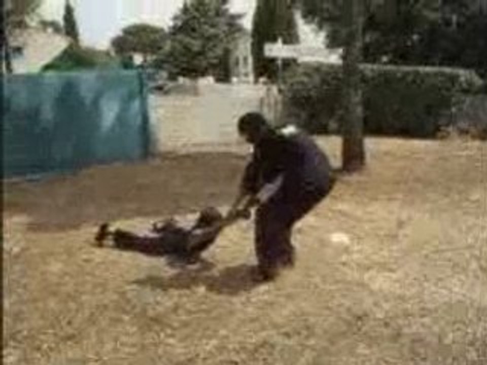 Les bonus - ninja