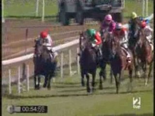 2008 (328) Premio Yeguada Torreduero (Cat. C) (JOY DIVISION)