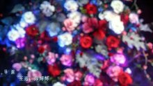 The Vanishing Beauty 2026 Episode 21 (English Subtitles)