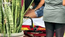 Mulher de 63 anos fica ferida após ser atacada por cachorro em Cascavel