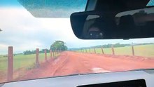 Influenciadora morre em grave acidente em rodovia e última publicação nas redes comove seguidores