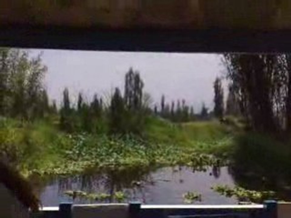 Domingo, Xochimilco