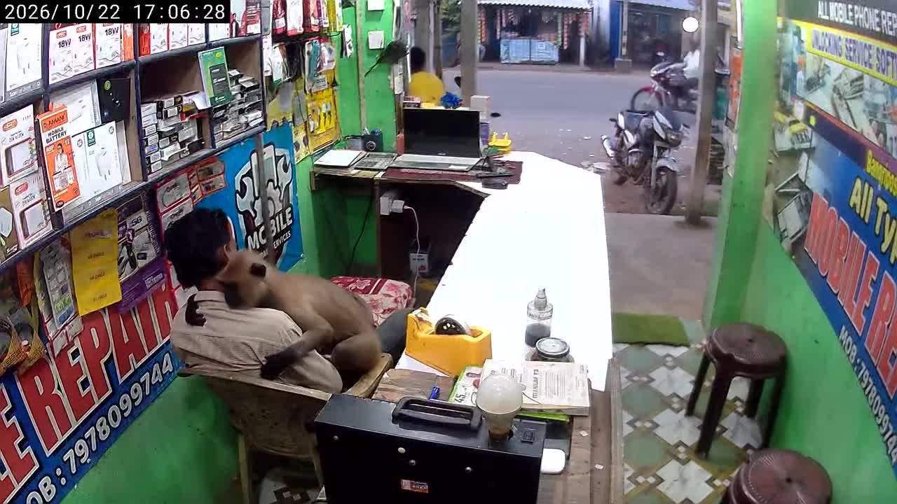 Monkey Enters Shop and Hugs Man - video Dailymotion