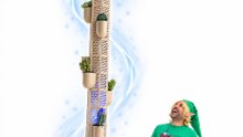 PLANT SHEIKA TOWER 🏙️