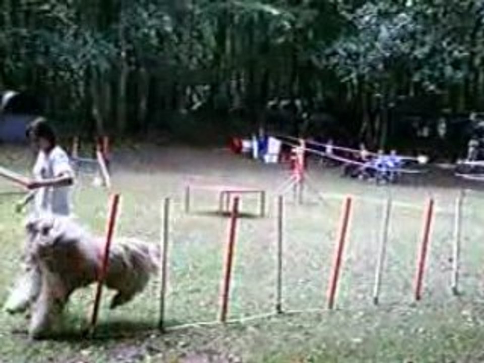Dourdan uhlan degre1