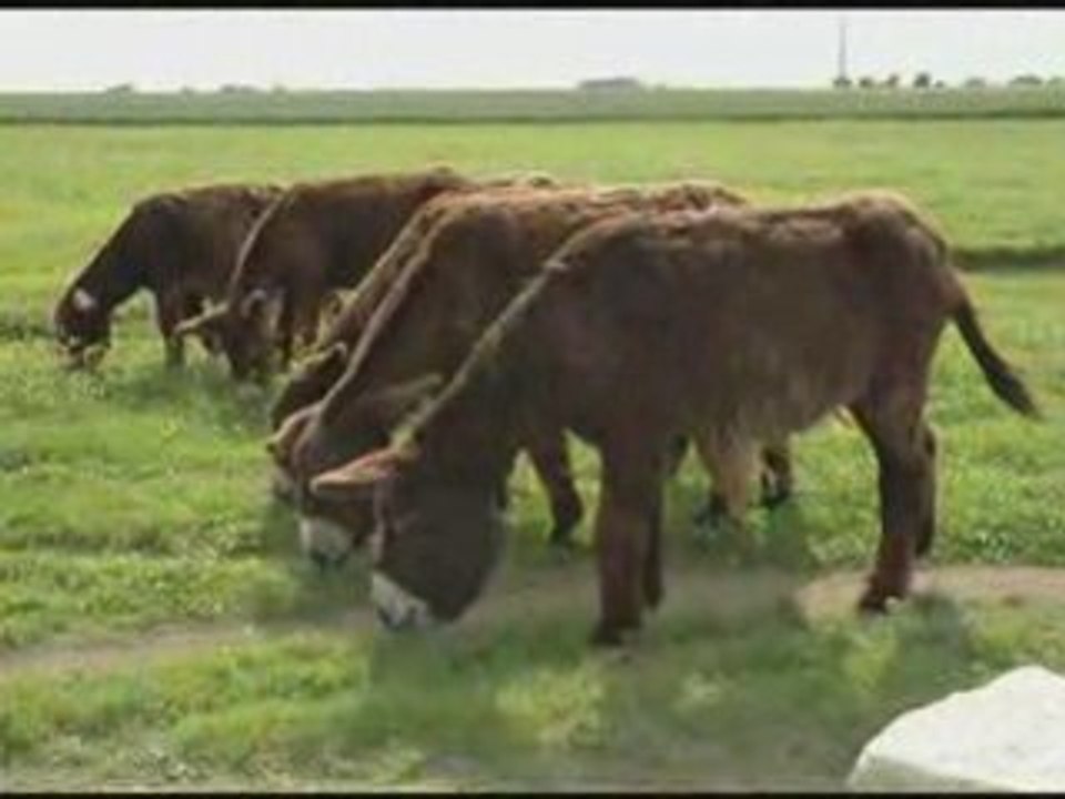 Un jour ,une rencontre..souvenir.