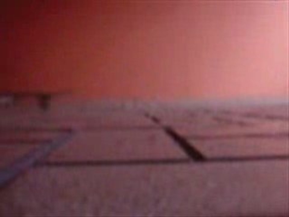 Moi en train de faire Skate, Yo haciendo skate