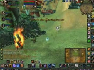 Once et Evers Twink 49