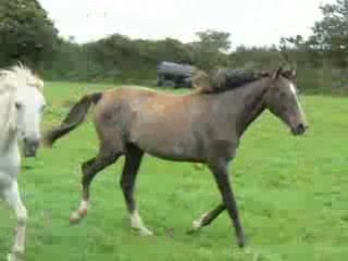 tina au mois de septembre