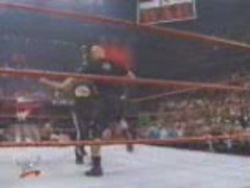wwe peddigree and stunner
