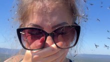 Hiker Gets Trapped In Massive Bug Invasion On Mountain Trail