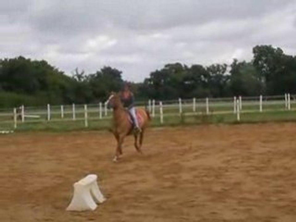 saut