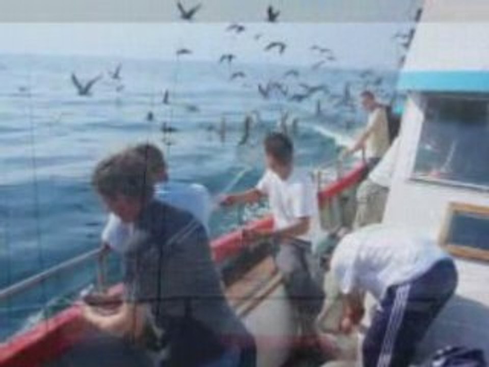 La gaule chauchéenne en mer