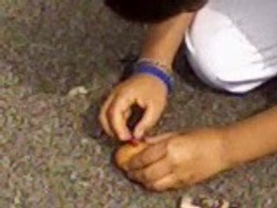 Vidéo-0003