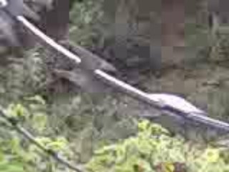 Vidéo-0004