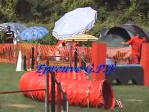 Agility (Concours Moyeuvre 2008 )