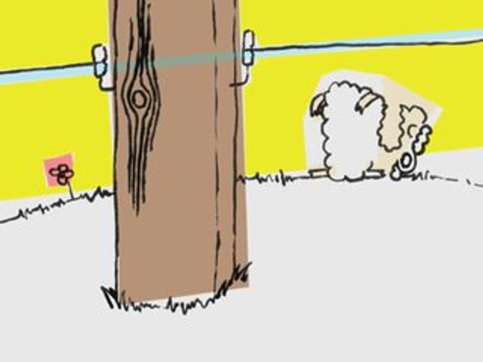 Tierschutz / Stefan Vogt