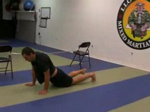 TL BJJ Jiu Jitsu Martial Arts Naples , FL C1 Andre Part 2
