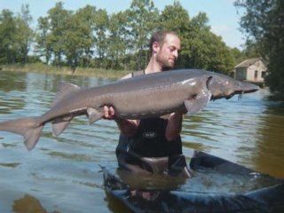 peche a la carpe été 2008 de BigFoot_0001