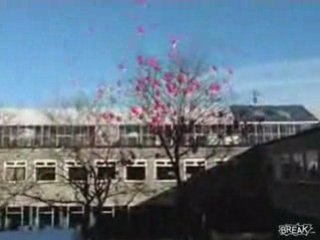 Hilarious Balloon Launch Failure