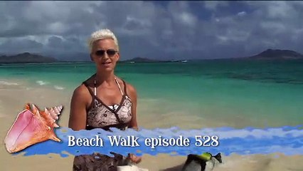 Beach Walk 670 - Say No to Victim Energy