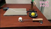 装置 No. 212 - レモン (Lemon)