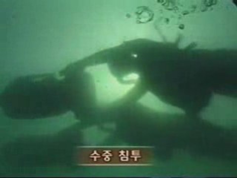 Korean Navy Special Force