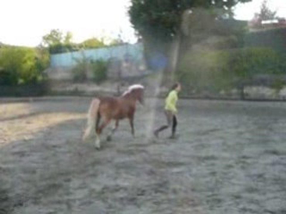 Cheval