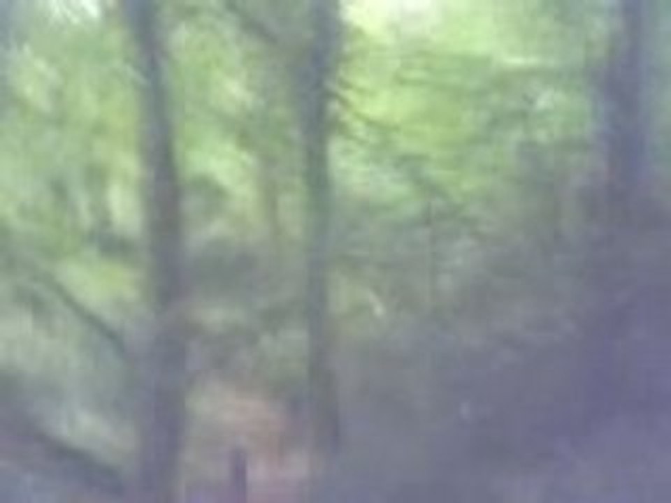 MVI_0029