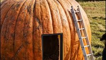 #pumpkinhouse   #tinyhouse   #homedesign   #interiordesign   #satisfyingbuild
