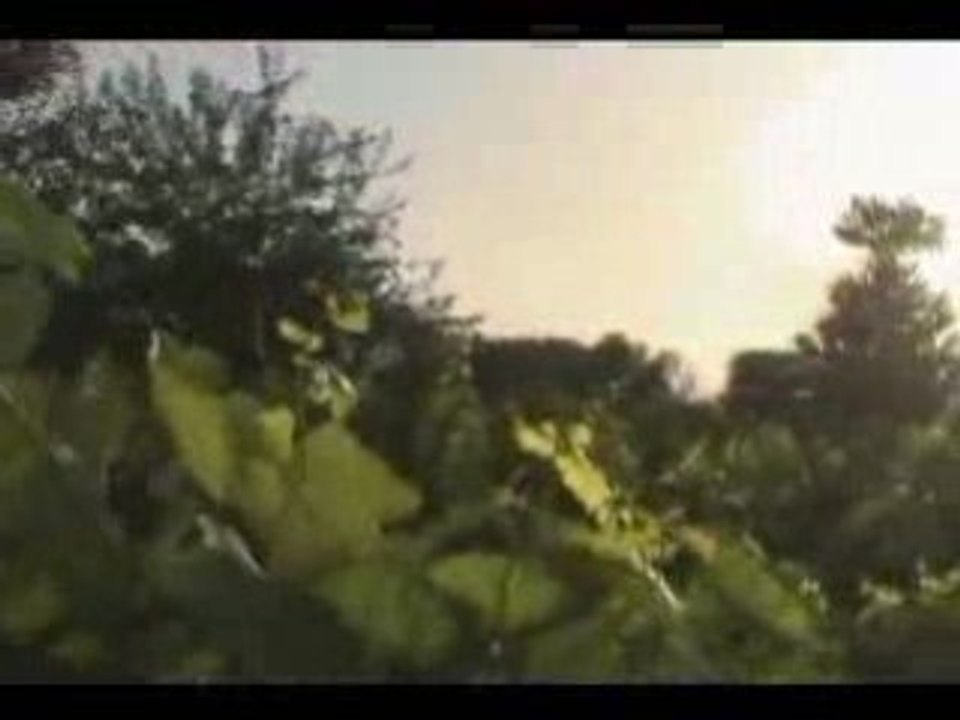 Afghanistan - Operation Dragon