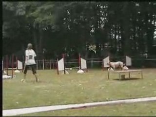 2ème degré dourdan 31 aout 2008