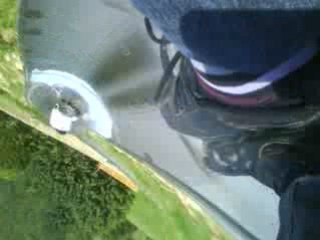 Vikingrace luge d'été français