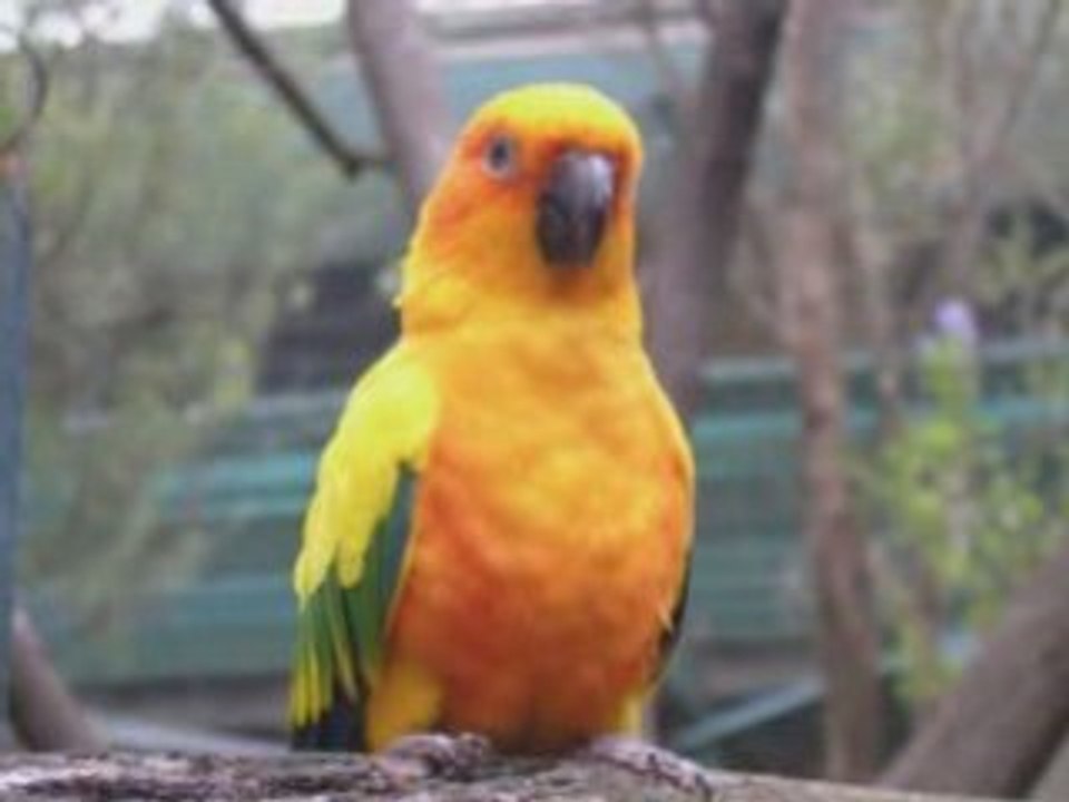 Nature