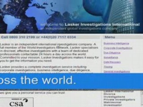 Private Investigator / Detective