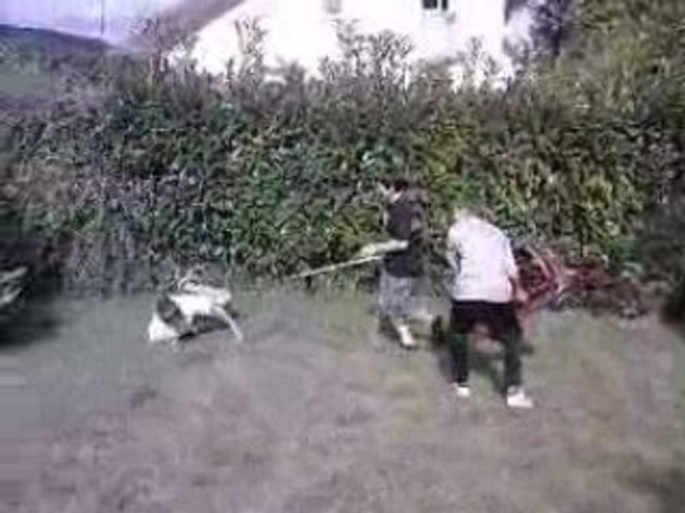 La dodoche chez moi