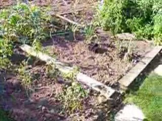 David toujours au piano 001