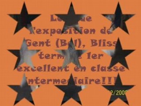 Bliss du Val des petits génies 2