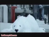 Polar Bears - Cool Commercial