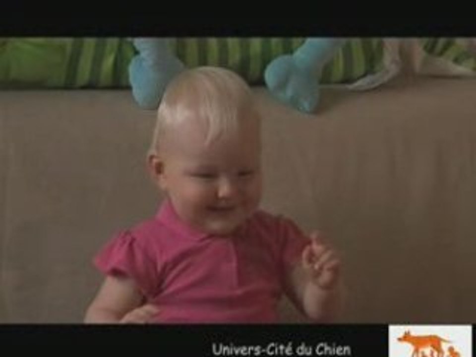 Univers cité du chien