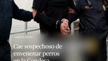 Cae sospechoso de envenenar perros en la CondesaSSC lo detiene tras rastreo por cámaras