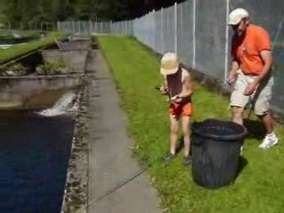 pisciculture corrézienne..!