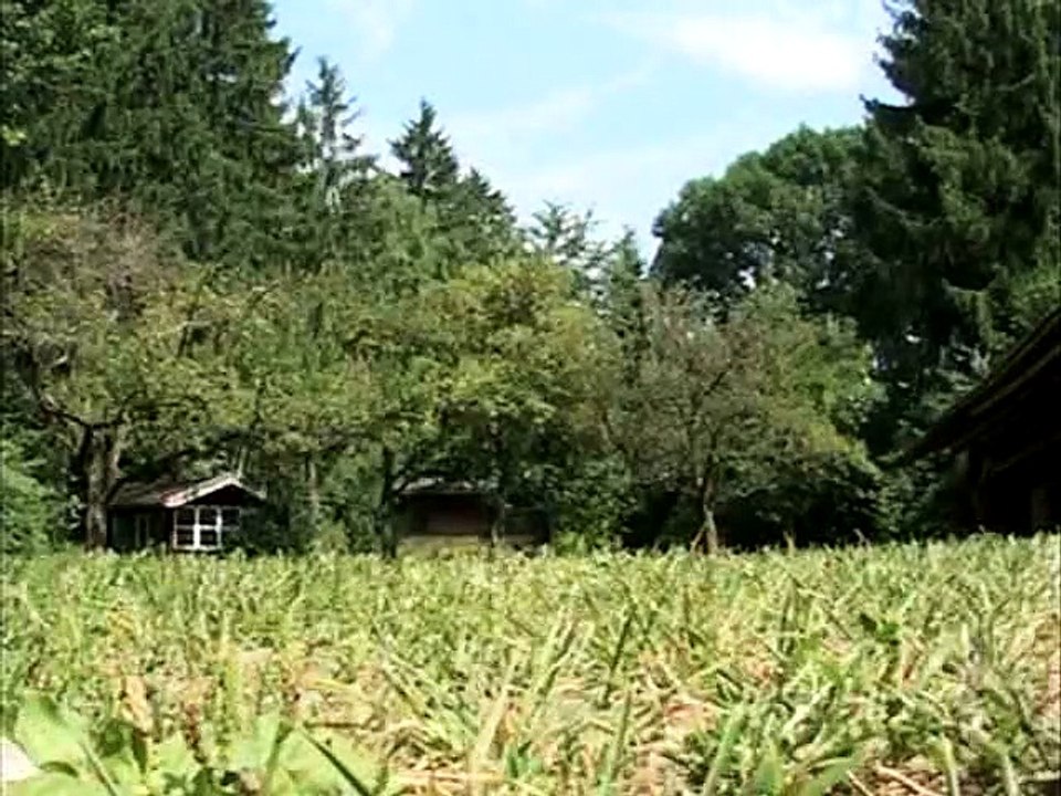 Kunst im Garten - Trailer2