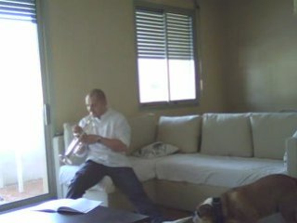 mon bulldog anglais pète un cable