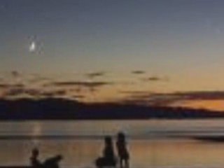 Brahim Tayeb, levhar