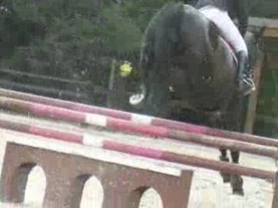 Concours jade la houssaye en brie 12-07-08 am3 prépa 1m00