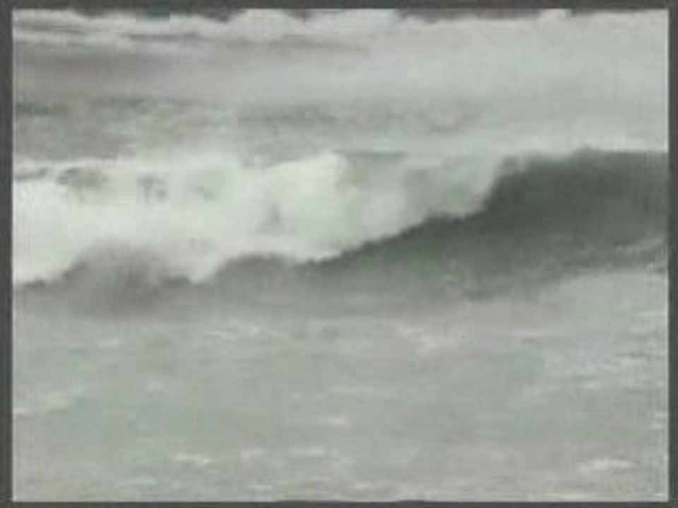 Surf Varsovie Dynamite